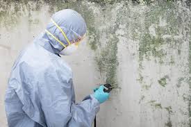 Asbestos and Lead Testing During Mold Inspection in Hamilton, GA